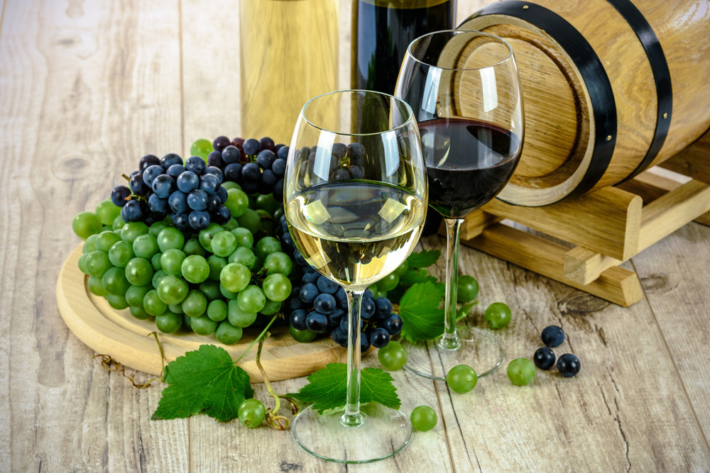 Izlet u bečke vinograde: Šetnja i degustacija vina